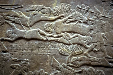 Ashurbanipal Til-Tuban taistelussa 650-620 eKr