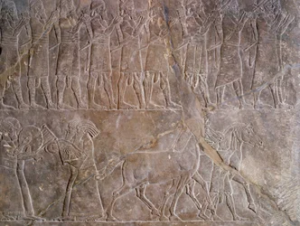 Itämainen antiikki: yksityiskohta bareljeefistä kalkkikivessä: Assyrian (Mesopotamian) kuninkaan Assurbanipalin tai Ashurbanipalin panssarin muusikot (669 eKr.-627 eKr.). 640 eaa. Niinivestä. Pariisi, Louvre-museo