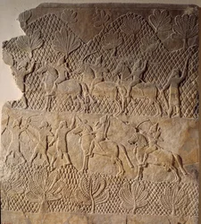 Antiikin itämainen taide: taistelukohtaus. Assurbanipal-palatsin matala kohokuvio, Assyria (7. vuosisadalla eKr.). Pariisi, Musee du Louvre