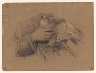Kestrel tarttui käsiin