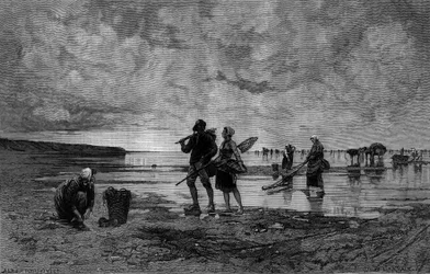 Suuri tamma kanaalissa (1800-luku): simpukoiden kalastajia rannalla. Kaiverrus Hagborg Auguste Wilhem Nikolausin (1852-1921/1925) maalauksen jälkeen teoksessa "The Illustrous World" nro 1219 7. elokuuta