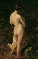 Uimarit