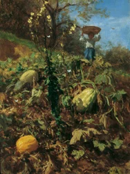 Kurpitsan puutarha