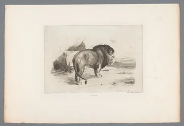 Leijona Un vieux lion (otsikko esineessä) Ranskalaiset etsaukset vuodelta 1874 (sarjan nimi) L