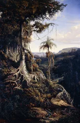 Jala-Jalan metsä