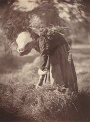 Talonpoika, n. 1870.