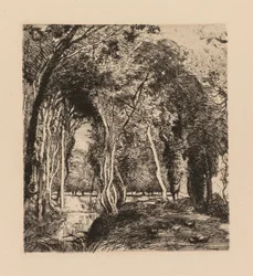 Auguste Lepère: Aluskasvillisuus, La Rigonette (Vendèe)