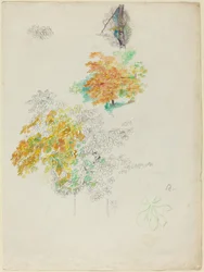 Puiden tutkimukset