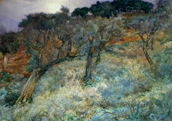 oliivilehto, Augusto Corelli (1853-1910)
