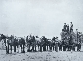 Villankuljetustiimi, Länsi-Australia, n. 1900, julkaisusta Under the Southern Cross - Glimpses of Australia, julkaisija Department of External Affairs, Melbourne, 1908