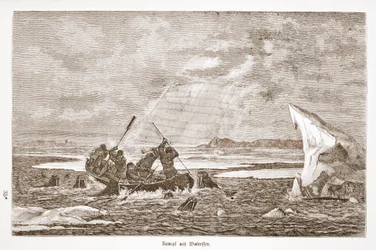 Taistelu mursun kanssa, 1876