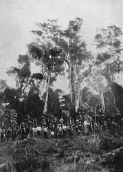 Neitsyt Matta, 1895