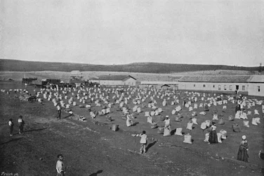 Kahvilan kuivausterassi, kahvinkuivaus ja pakkaus, 1895