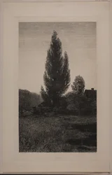 Kesäyö