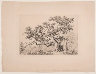 Kuninkaan oma