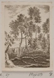 Metsäalue