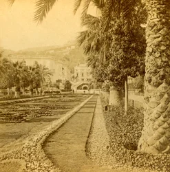 Monte Carlo kasinolta katsottuna, 1897.