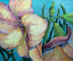 Amaryllis 2, noin 1990-2000 (öljy kankaalle).
