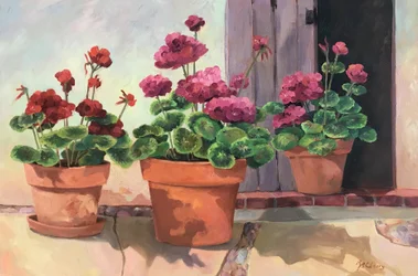 Geranium-sarja 2, noin 1990-2005 (öljy kankaalle).