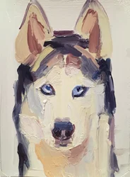 Susi, 2016