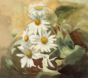 Daisies (akvarelli kudospaperille)