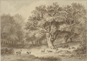 Metsämaisema peuroja