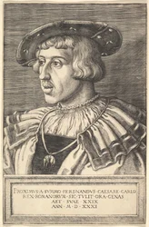 Keisari Ferdinand I, 1500-luku.