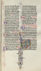 Missale: Fol. 260: Lehdet hedelmillä, 1469