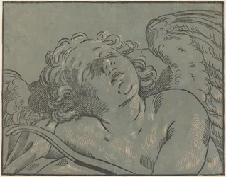 Cupid unessa