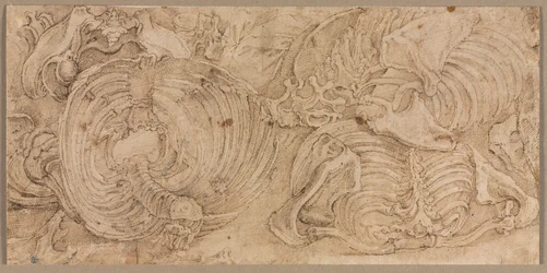 Rib Cages, 1540-luvun alku.