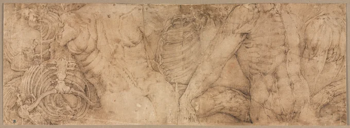 Vartalot rintakehillä, 1540-luvun alku.