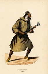 Tasangon arabi tai aavikon arabipäällikkö, Algeria