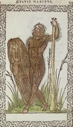 Villi mies, kuvitus Jean Sluperjin teoksesta Lähes kaikkien kansakuntien ja nykyisten kansakuntien tottumukset ja muotokuvat, Antwerpen, 1572 (väripuupiirros)