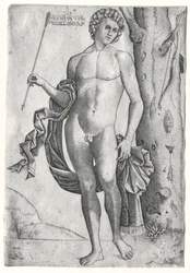 Mies nuolen kanssa, c. 1515.