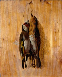 Luonnonjälkeinen tutkimus Kaksi kuollutta lintuneulaa seinällä. Benedetto Musson (1835-1883) maalaus 1864 noin su. 20,5x16,5 cm geenit, Galleria d
