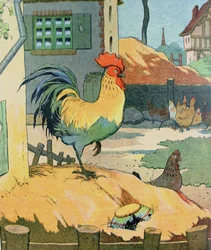 Kukko, kuvitus teoksesta ”Le Buffon de Benjamin Rabier”, muokattu Georges de Buffonin (1707-88) teoksesta ”Histoire Naturelle”