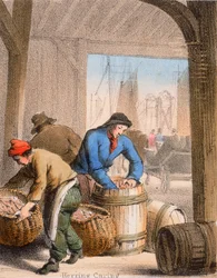Herring Curing, c1845