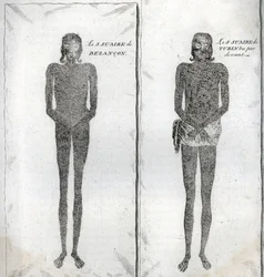 Esitys Besanconin käärinliinasta ja Torinon käärinliinasta Kaiverrus Bernard Picartin (1723-1743) "Kuvaus uskonnollisista seremonioista ja tavoista" (1723-1743) 1819 Yksityinen kokoelma