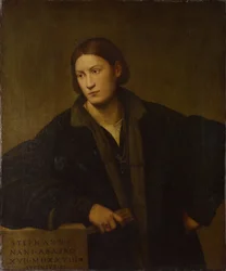 Stefano Nanin muotokuva, 1528