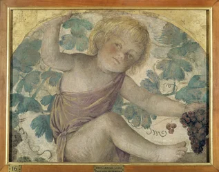 Sadonkorjuuputti - Putto pergolan alla, n. 1514 (irrotettu fresko aluksella)