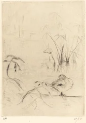 Ducks at Rest on the Bank, 18881890.