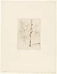 Bois de Boulognen järvi