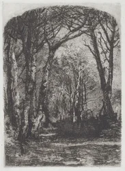 Woods [Bosco], n. 1895.