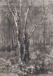 Woods in the Park lähellä Monzaa, 1895.