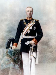 Mecklenburgin herttua Henrik, Alankomaiden prinssi, 1800-luvun loppu - 1900-luvun alku.