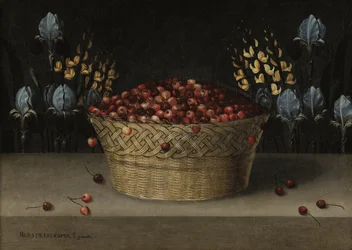 Asetelma, jossa on kirsikoita, lupiini ja iiris, noin 1610 (öljy kankaalle).