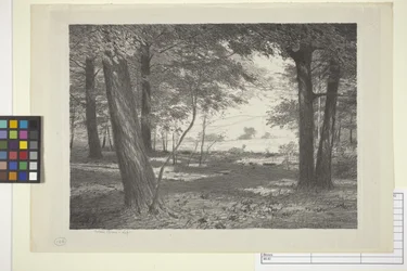 Edge Of The Woods (muste paperille)
