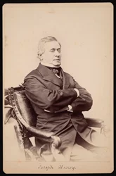 Joseph Henryn muotokuva 1797-1878, 1868-1878.