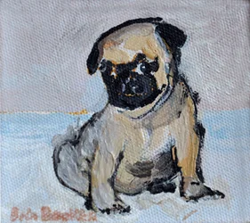 Vincent, mopsipentu