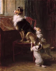 Varattu paikka, 1901